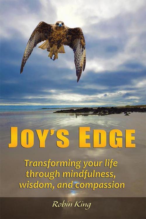 Cover of the book Joy’S Edge by Robin King, AuthorHouse