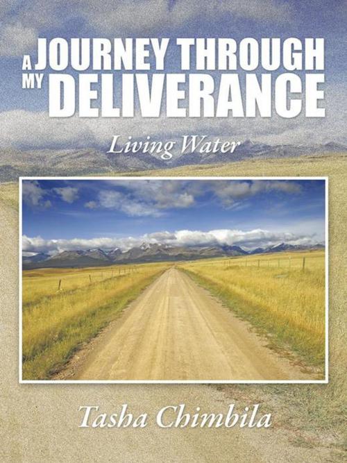 Cover of the book A Journey Through My Deliverance by Tasha Chimbila, AuthorHouse