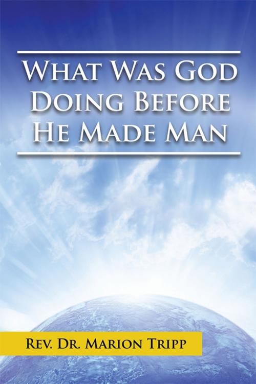 Cover of the book What Was God Doing Before He Made Man by Dr. Marion Tripp, Xlibris US