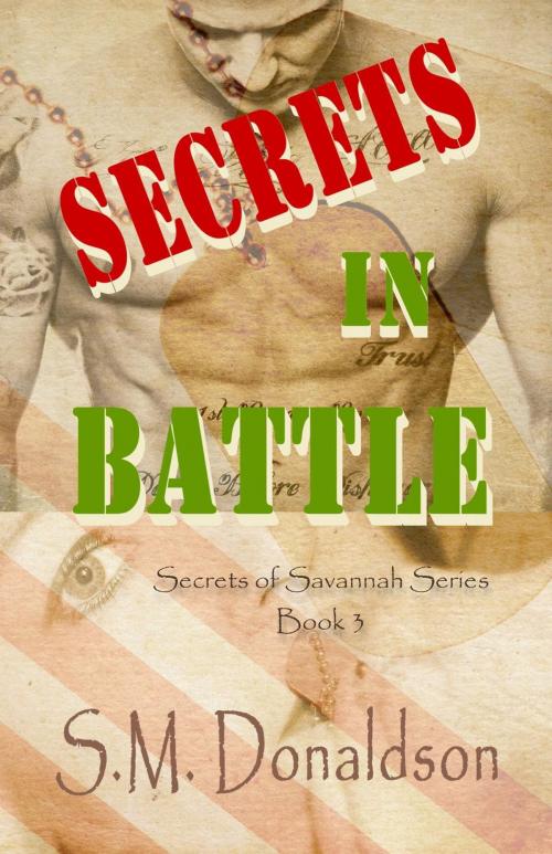 Cover of the book Secrets in Battle by SM Donaldson, SM Donaldson