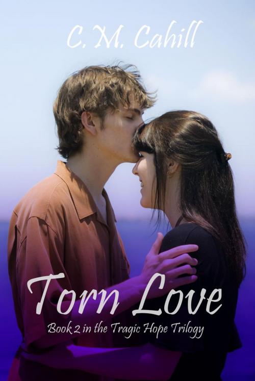 Cover of the book Torn Love by C.M. Cahill, C.M. Cahill