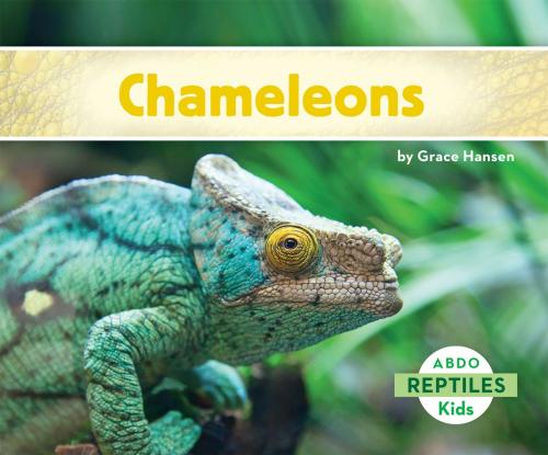Cover of the book Chameleons by Grace Hansen, ABDO