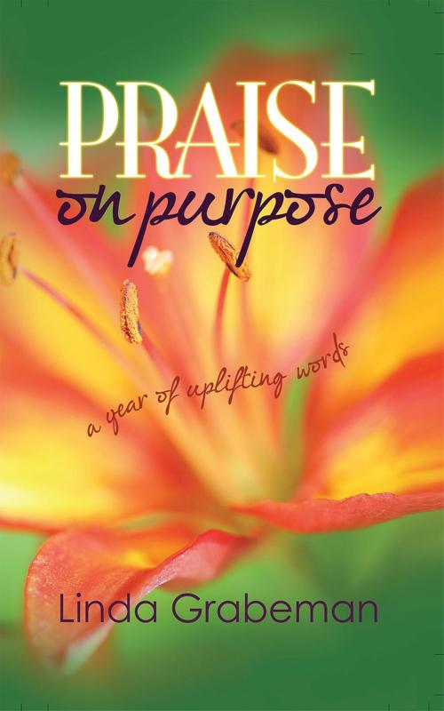 Cover of the book Praise on Purpose: A Year of Uplifting Words by Linda Grabeman, Redemption Press