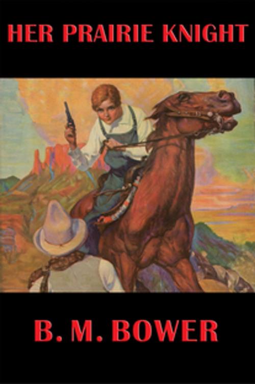 Cover of the book Her Prairie Knight by B. M. Bower, Wilder Publications, Inc.