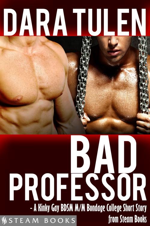 Cover of the book Bad Professor - A Kinky Gay BDSM M/M Bondage College Short Story from Steam Books by Dara Tulen, Steam Books, Steam Books