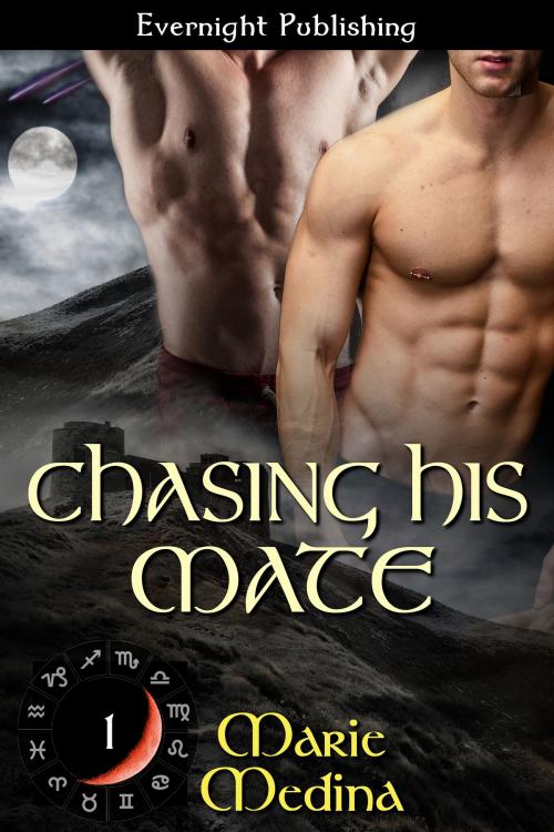 Cover of the book Chasing His Mate by Marie Medina, Evernight Publishing