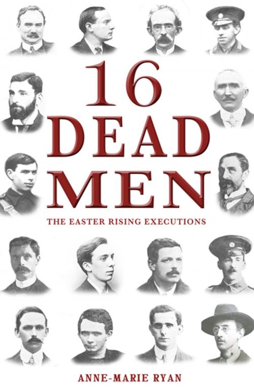 Cover of the book 16 Dead Men: The Easter Rising Executions by Anne-Marie Ryan, Mercier Press