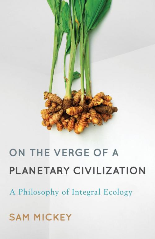 Cover of the book On the Verge of a Planetary Civilization by Sam Mickey, Rowman & Littlefield International