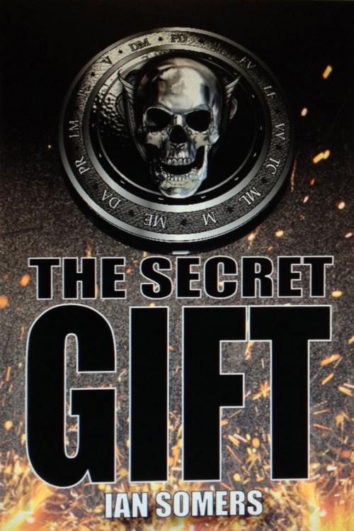 Cover of the book The Secret Gift by Ian Somers, The O'Brien Press