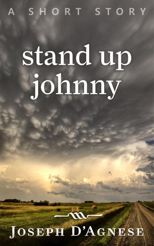 Cover of the book Stand Up Johnny by Joseph D'Agnese, Joseph D'Agnese