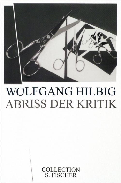 Cover of the book Abriss der Kritik by Wolfgang Hilbig, FISCHER E-Books