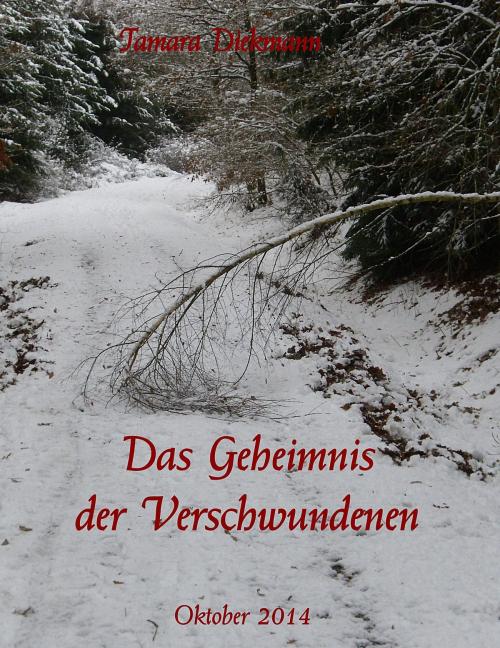 Cover of the book Das Geheimnis der Verschwundenen by Tamara Diekmann, neobooks