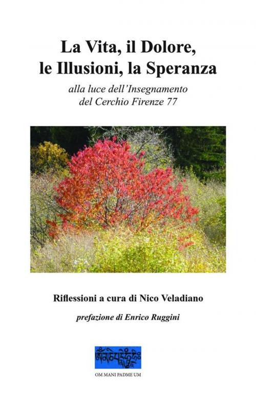 Cover of the book La Vita, il Dolore, le Illusioni, la Speranza by Nico Veladiano, Nico Veladiano