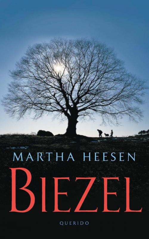 Cover of the book Biezel by Martha Heesen, Singel Uitgeverijen