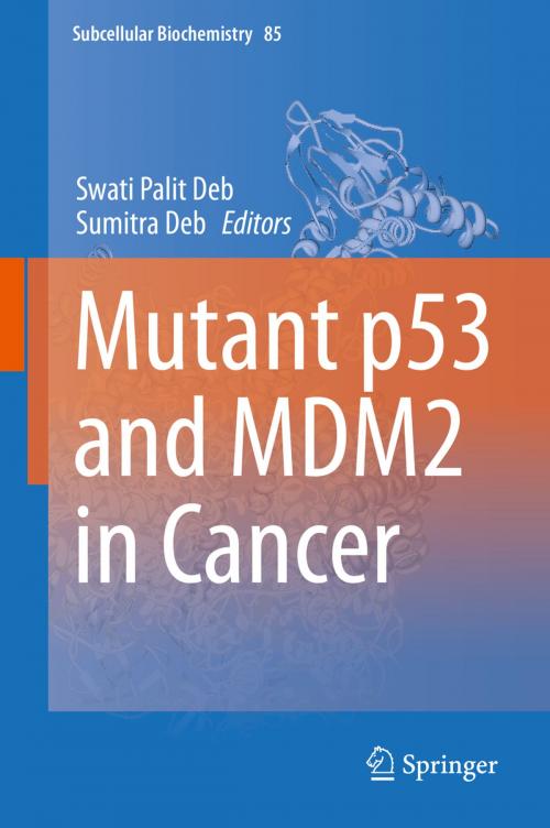 Cover of the book Mutant p53 and MDM2 in Cancer by , Springer Netherlands