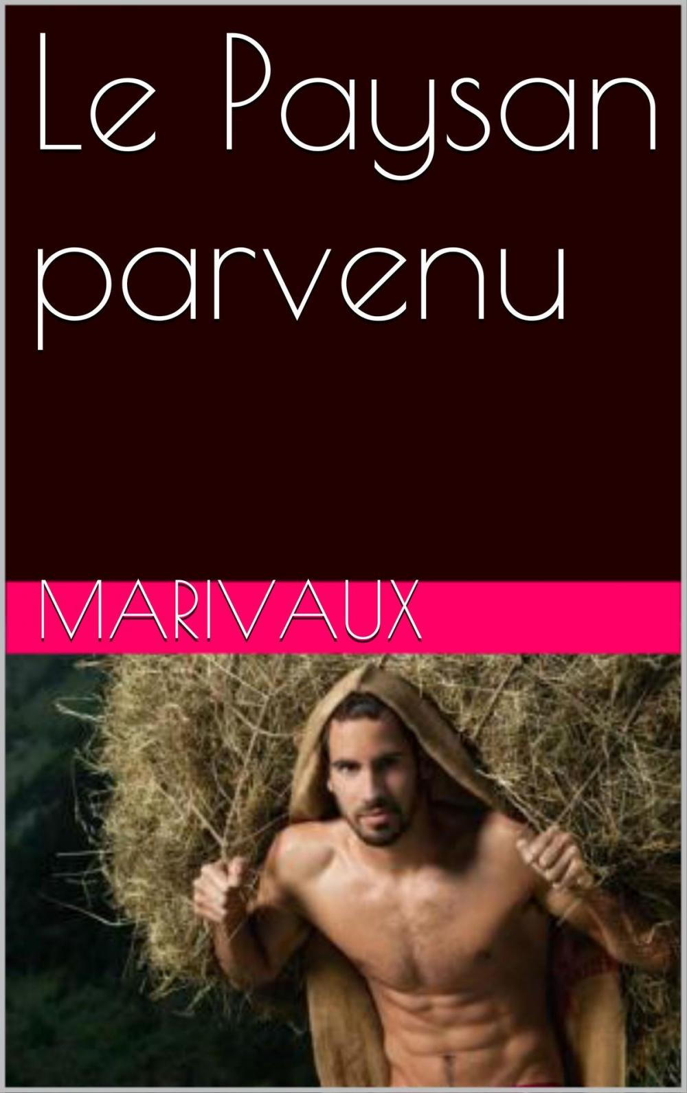 Big bigCover of Le Paysan parvenu