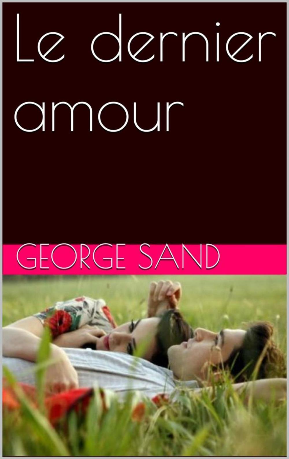 Big bigCover of Le dernier amour