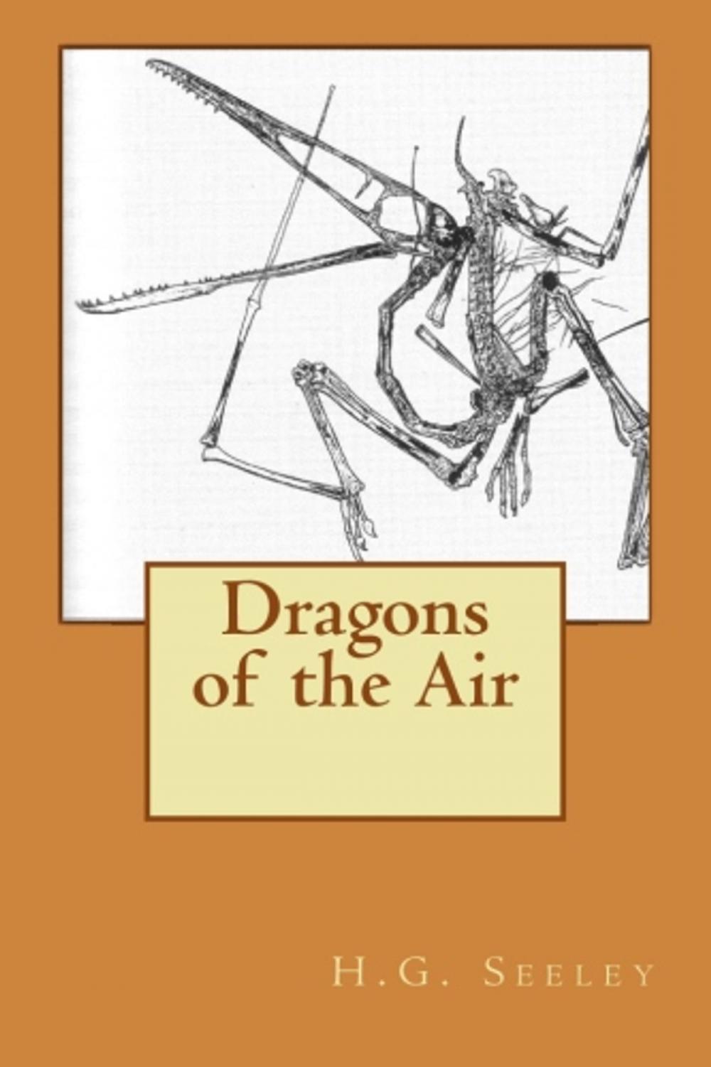 Big bigCover of Dragons of the Air