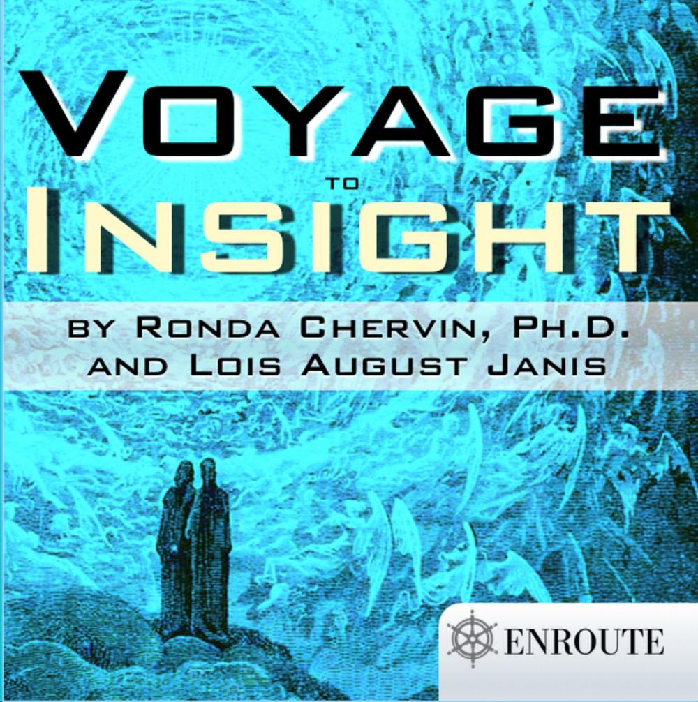 Big bigCover of Voyage to Insight