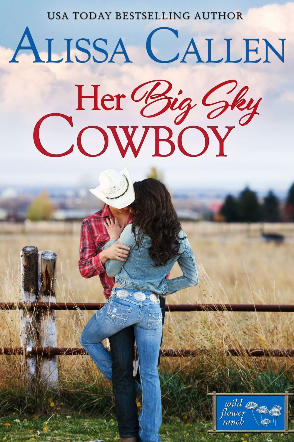 Big bigCover of Her Big Sky Cowboy