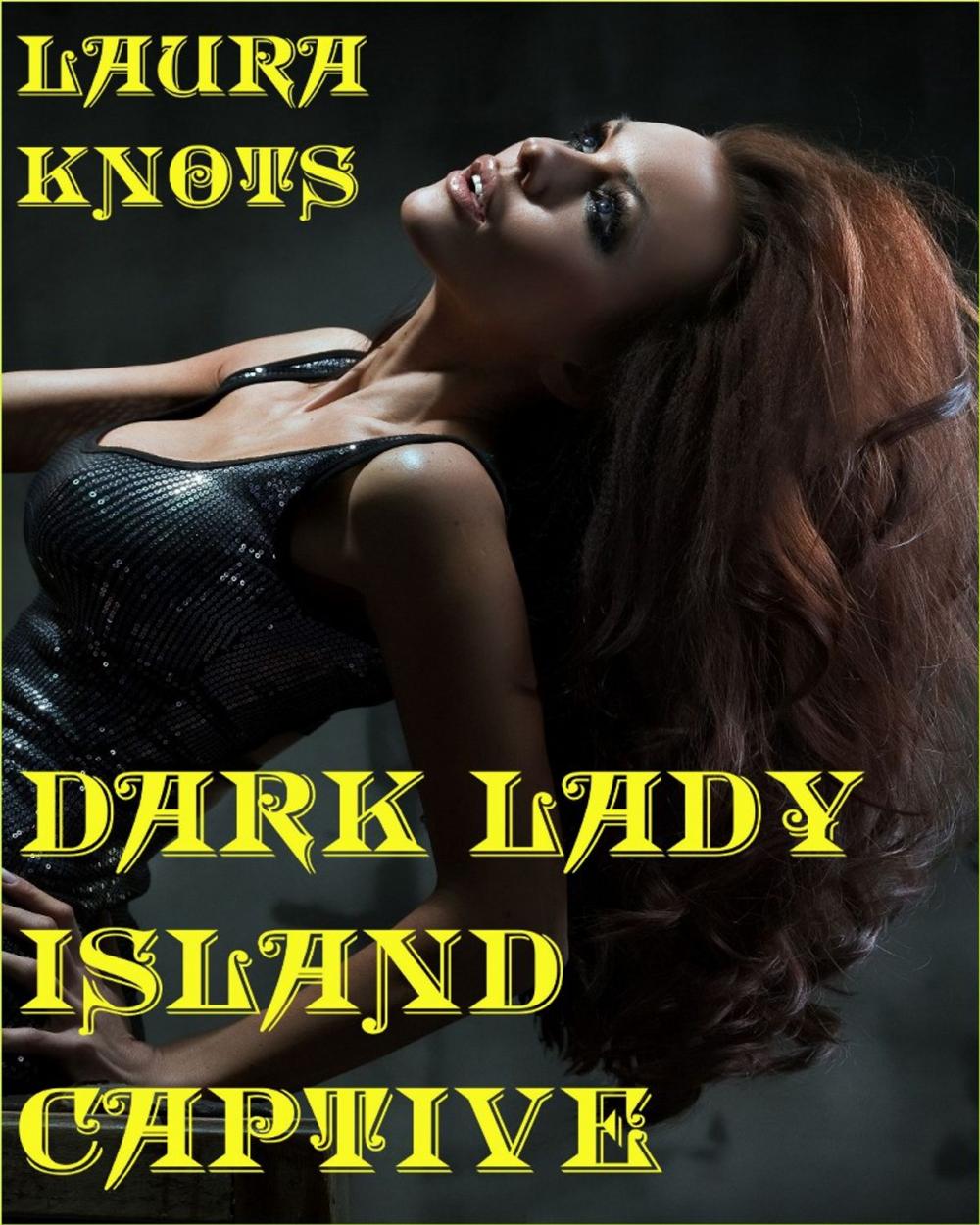 Big bigCover of Dark Lady Island Captive