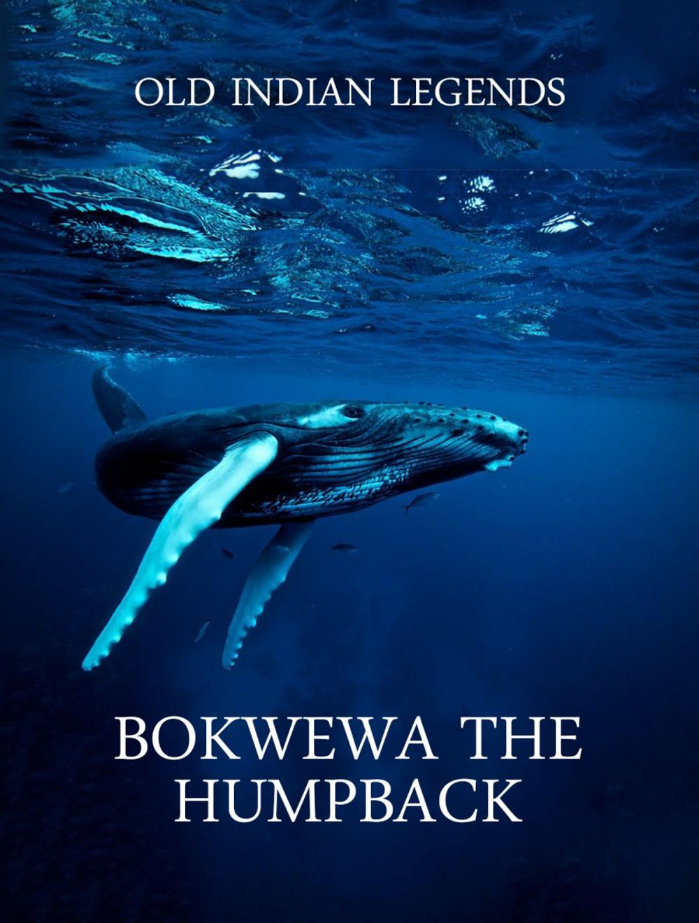 Big bigCover of Bokwewa the Humpback