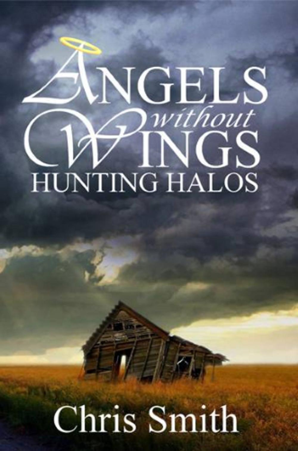 Big bigCover of Hunting Halos