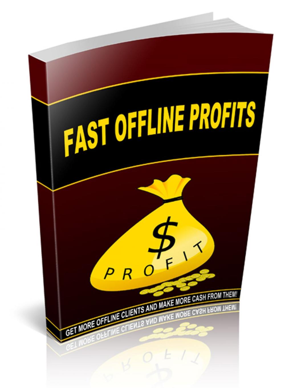 Big bigCover of Fast Offline Profits