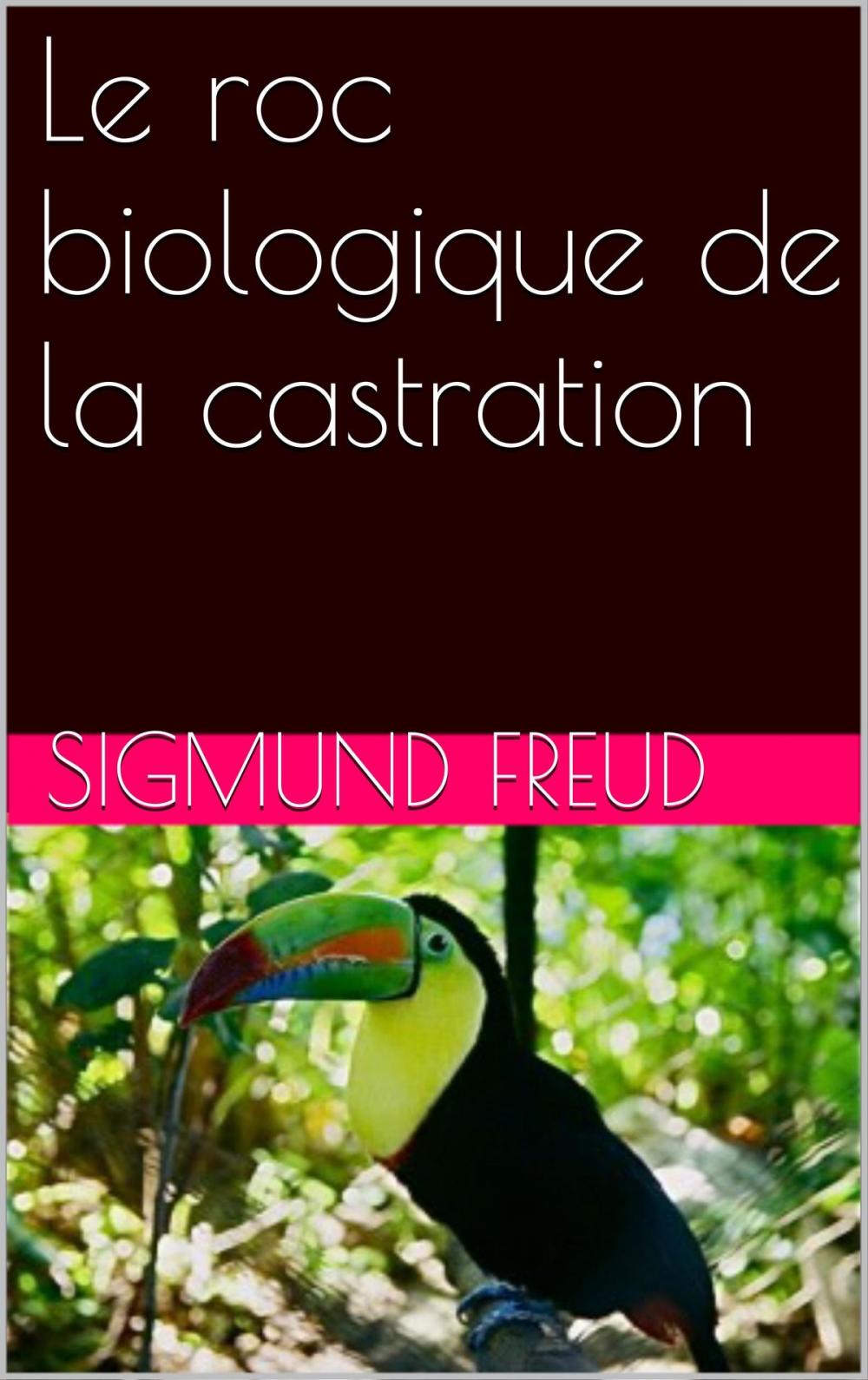 Big bigCover of Le roc biologique de la castration