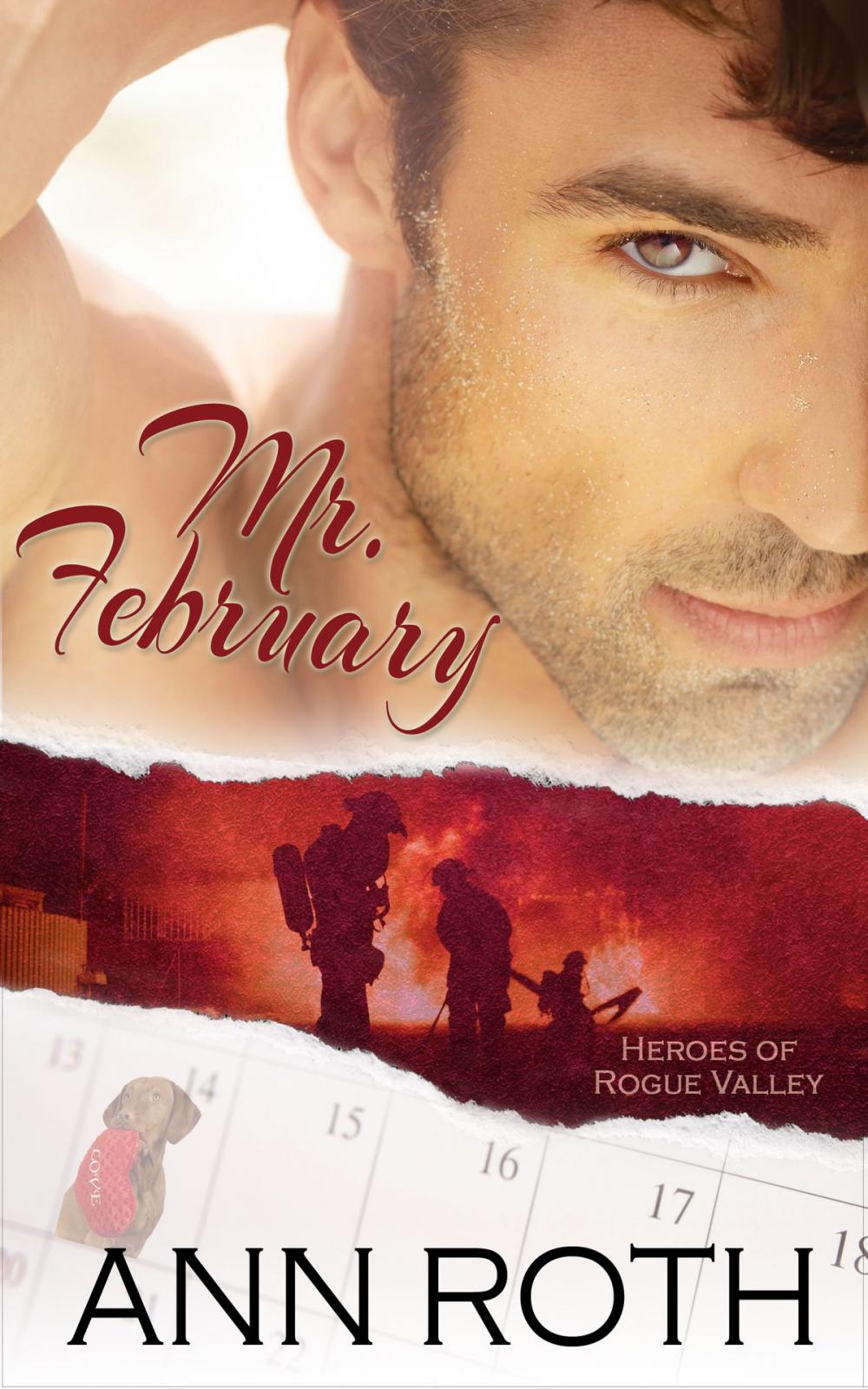 Big bigCover of Mr. February