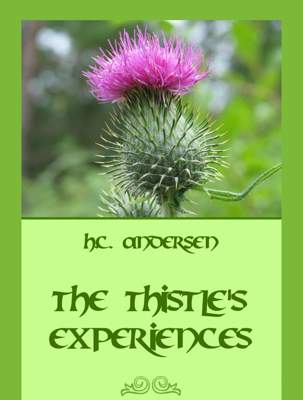 Big bigCover of The Thistle's Experiences