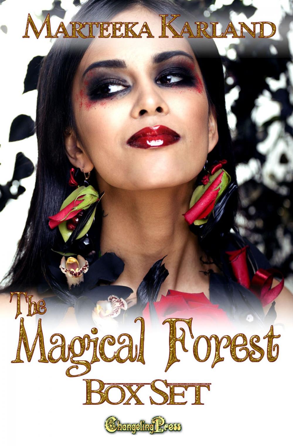 Big bigCover of The Magical Forest (Box Set)