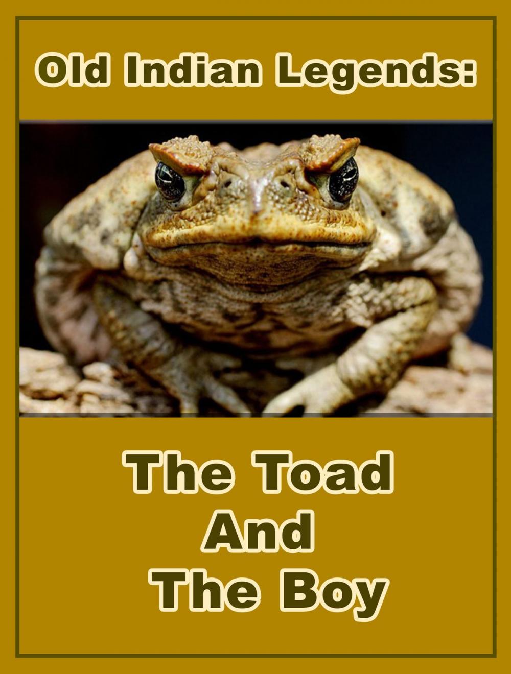 Big bigCover of The Toad And The Boy