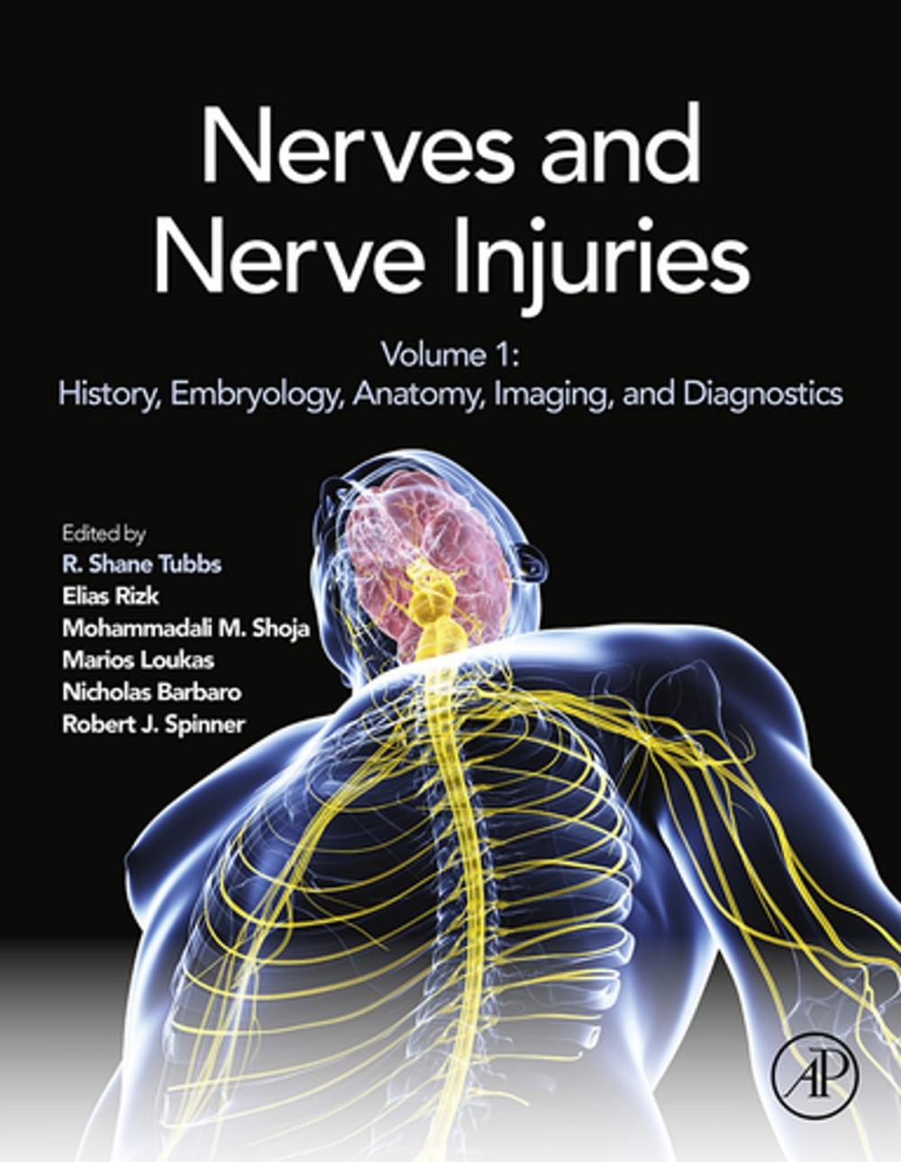 Big bigCover of Nerves and Nerve Injuries