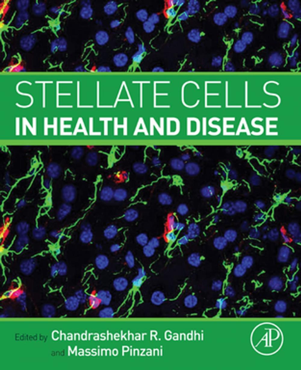 Big bigCover of Stellate Cells in Health and Disease