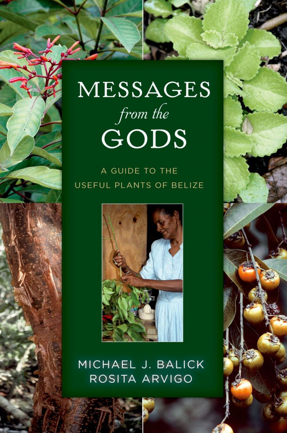 Big bigCover of Messages from the Gods