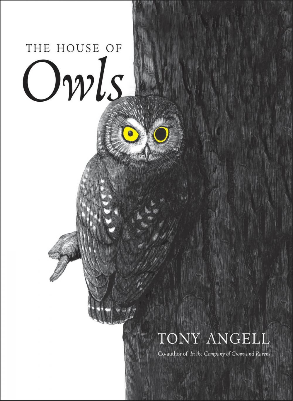 Big bigCover of The House of Owls