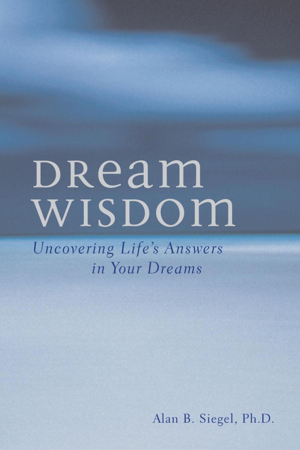 Big bigCover of Dream Wisdom