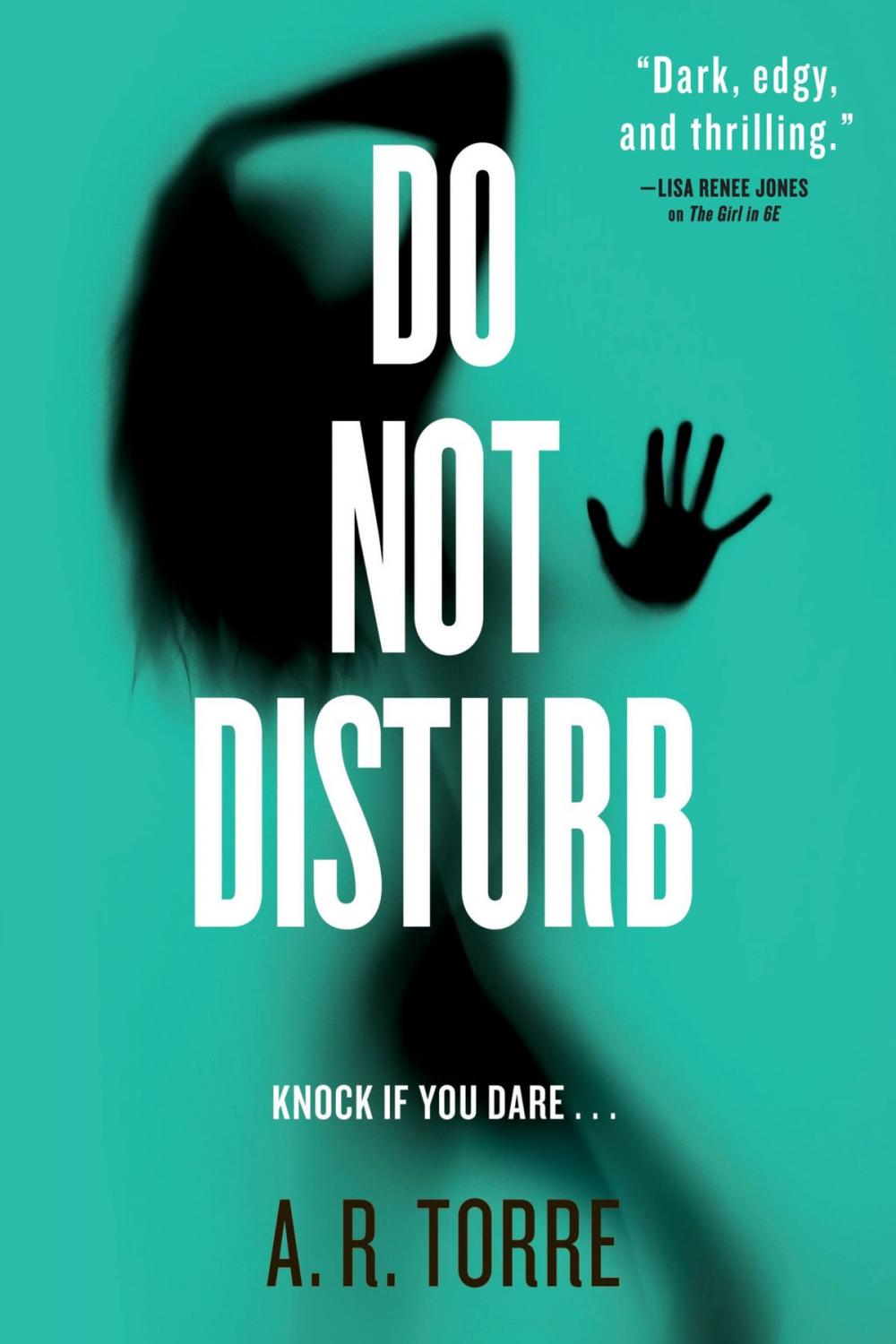 Big bigCover of Do Not Disturb