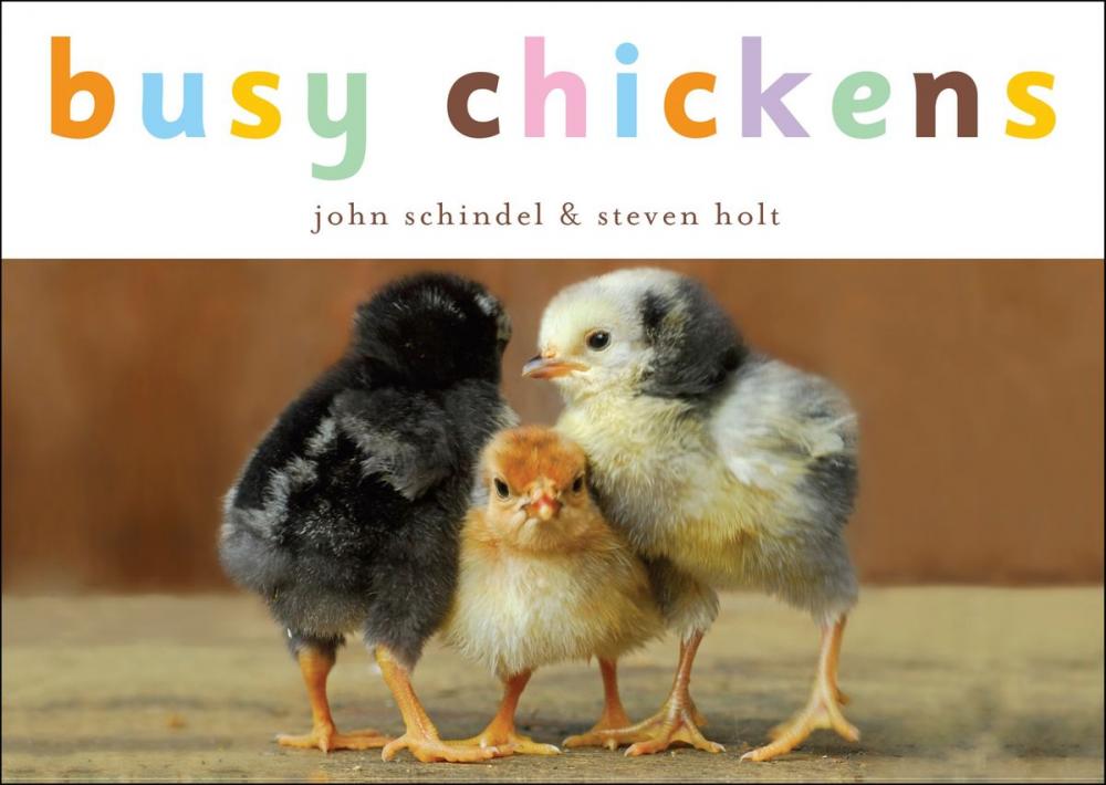 Big bigCover of Busy Chickens