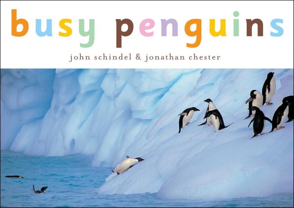 Big bigCover of Busy Penguins