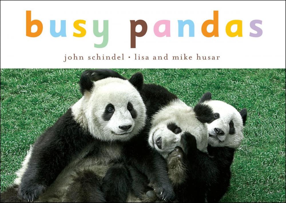 Big bigCover of Busy Pandas