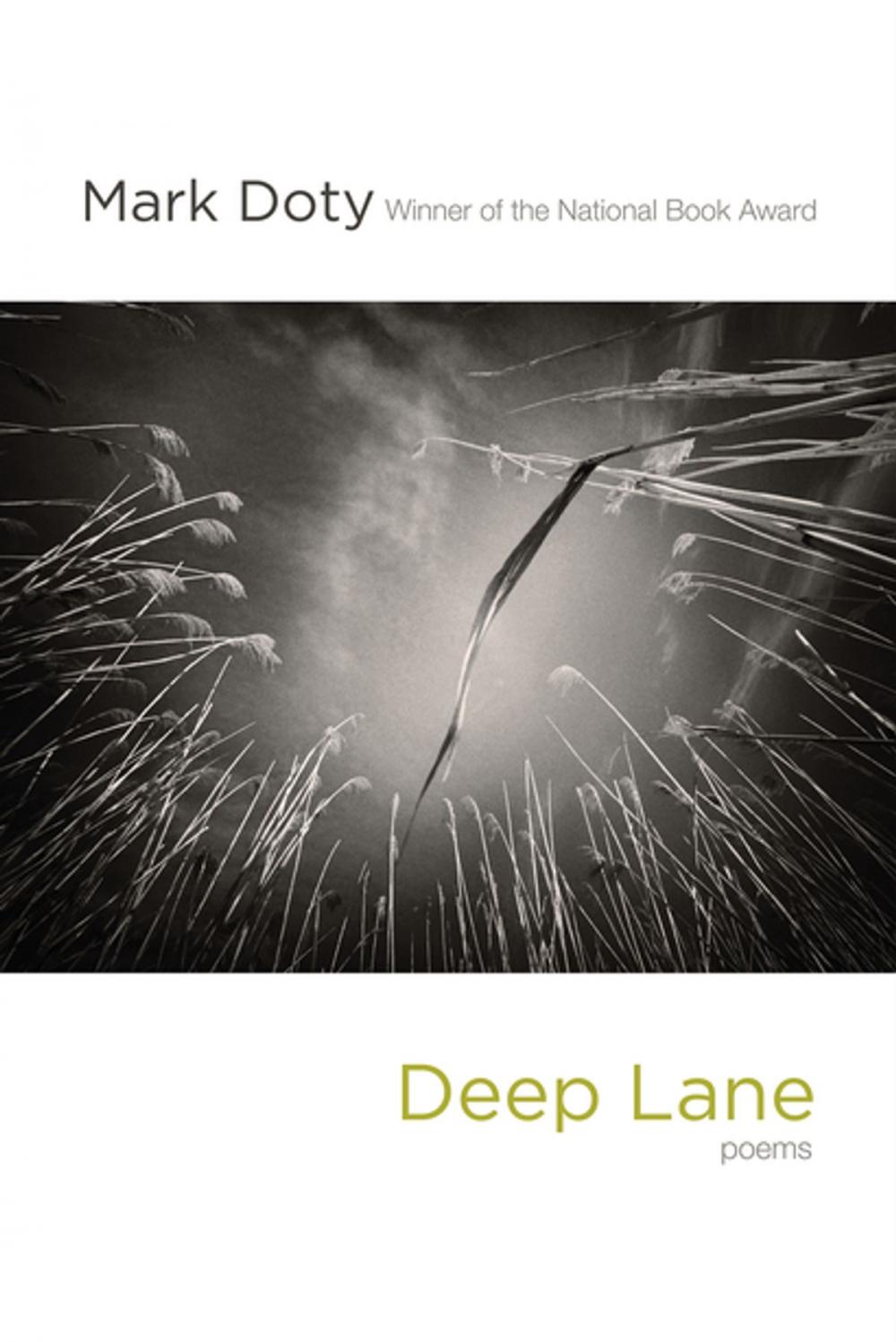 Big bigCover of Deep Lane: Poems