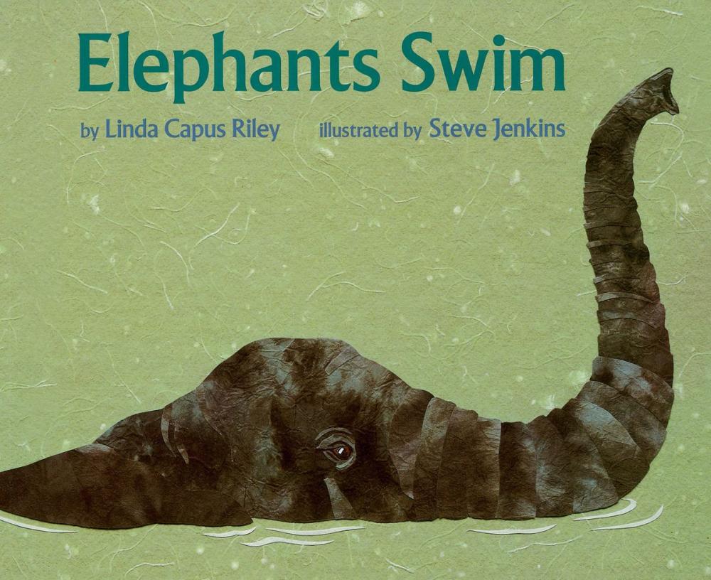 Big bigCover of Elephants Swim