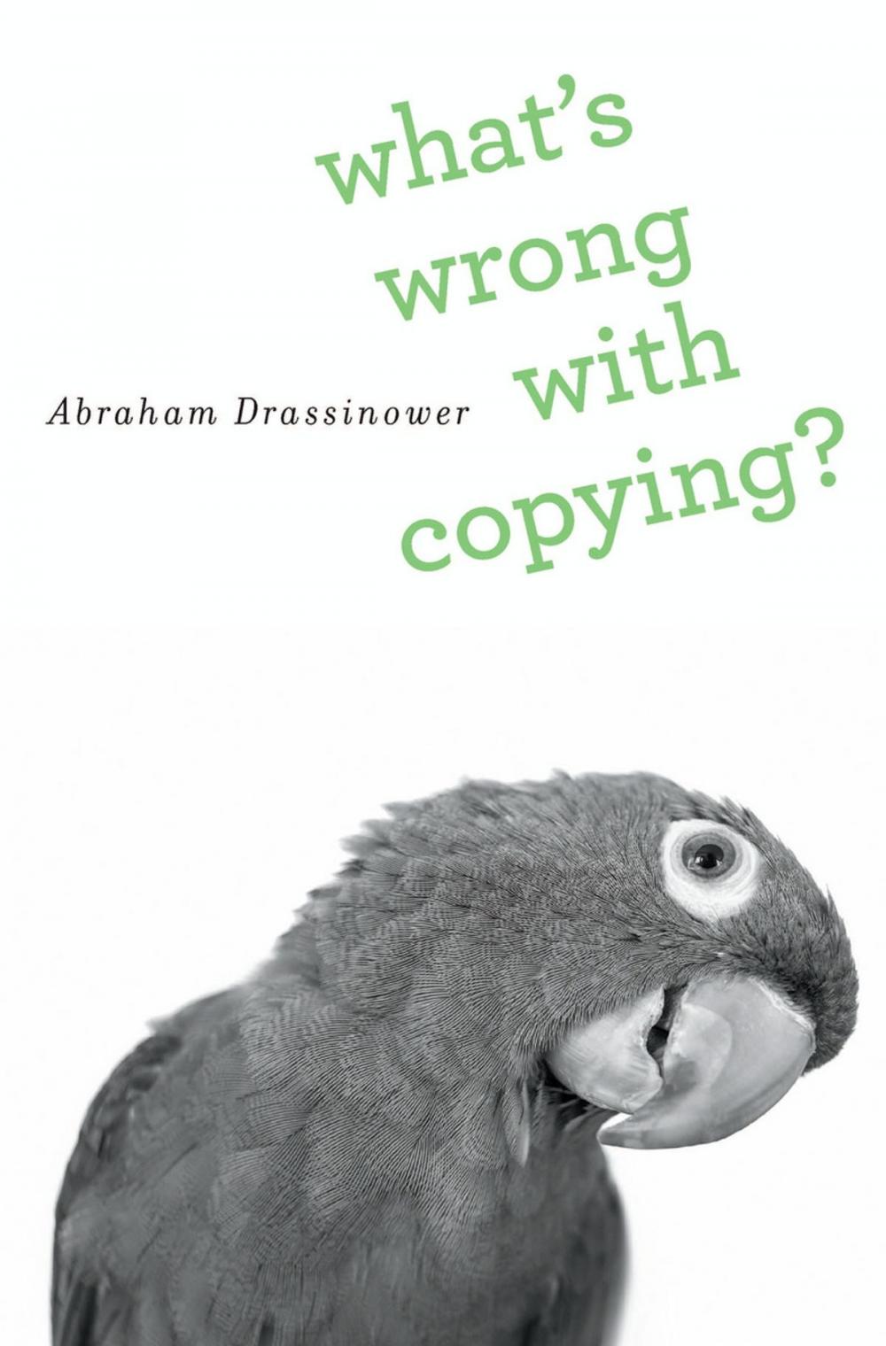 Big bigCover of What's Wrong with Copying?