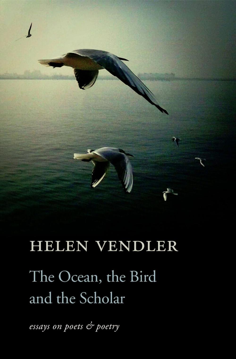 Big bigCover of The Ocean, the Bird, and the Scholar