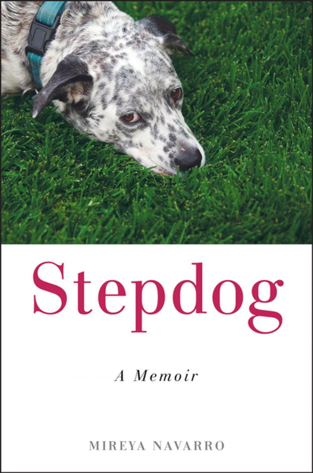 Big bigCover of Stepdog