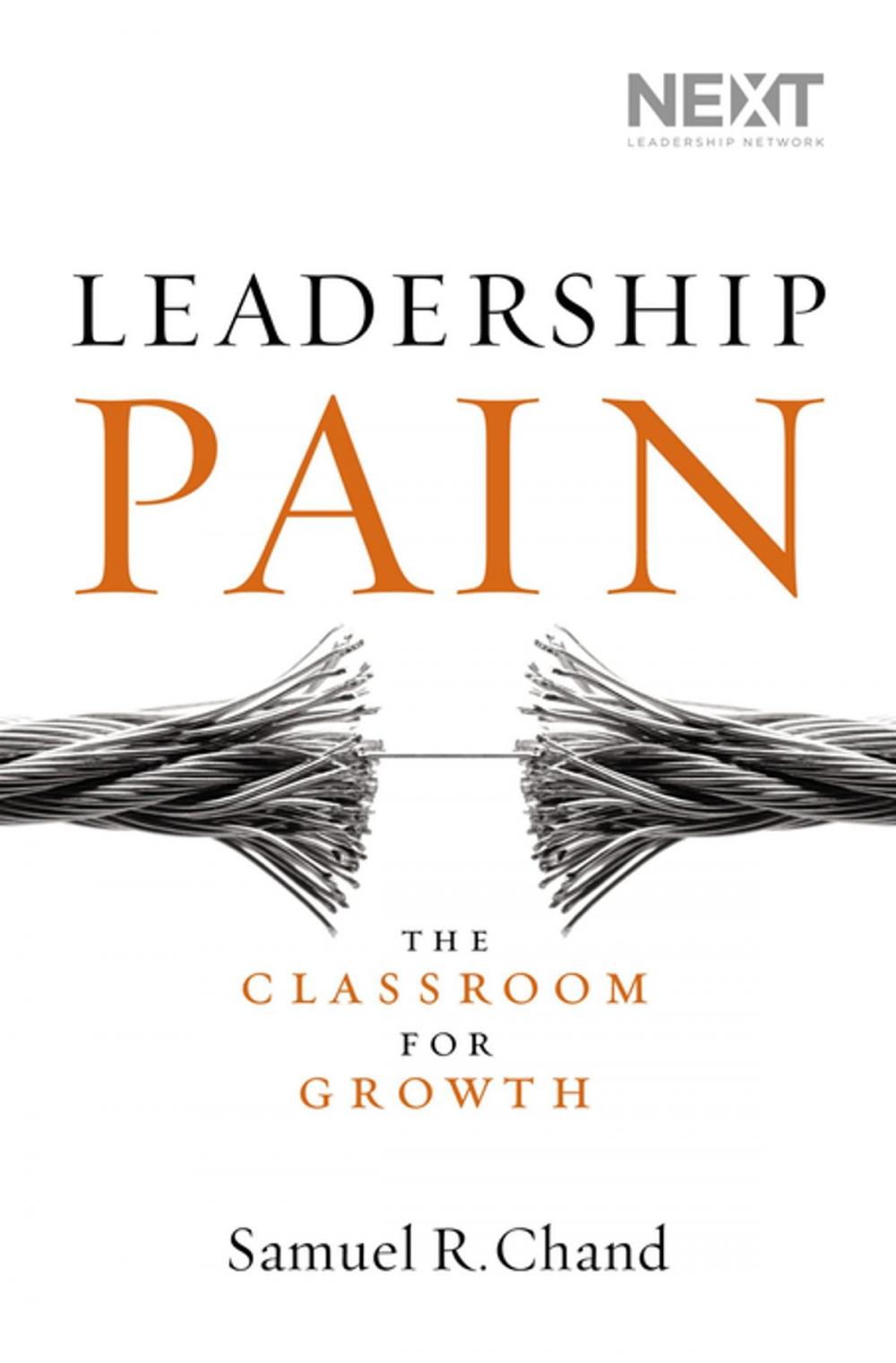 Big bigCover of Leadership Pain