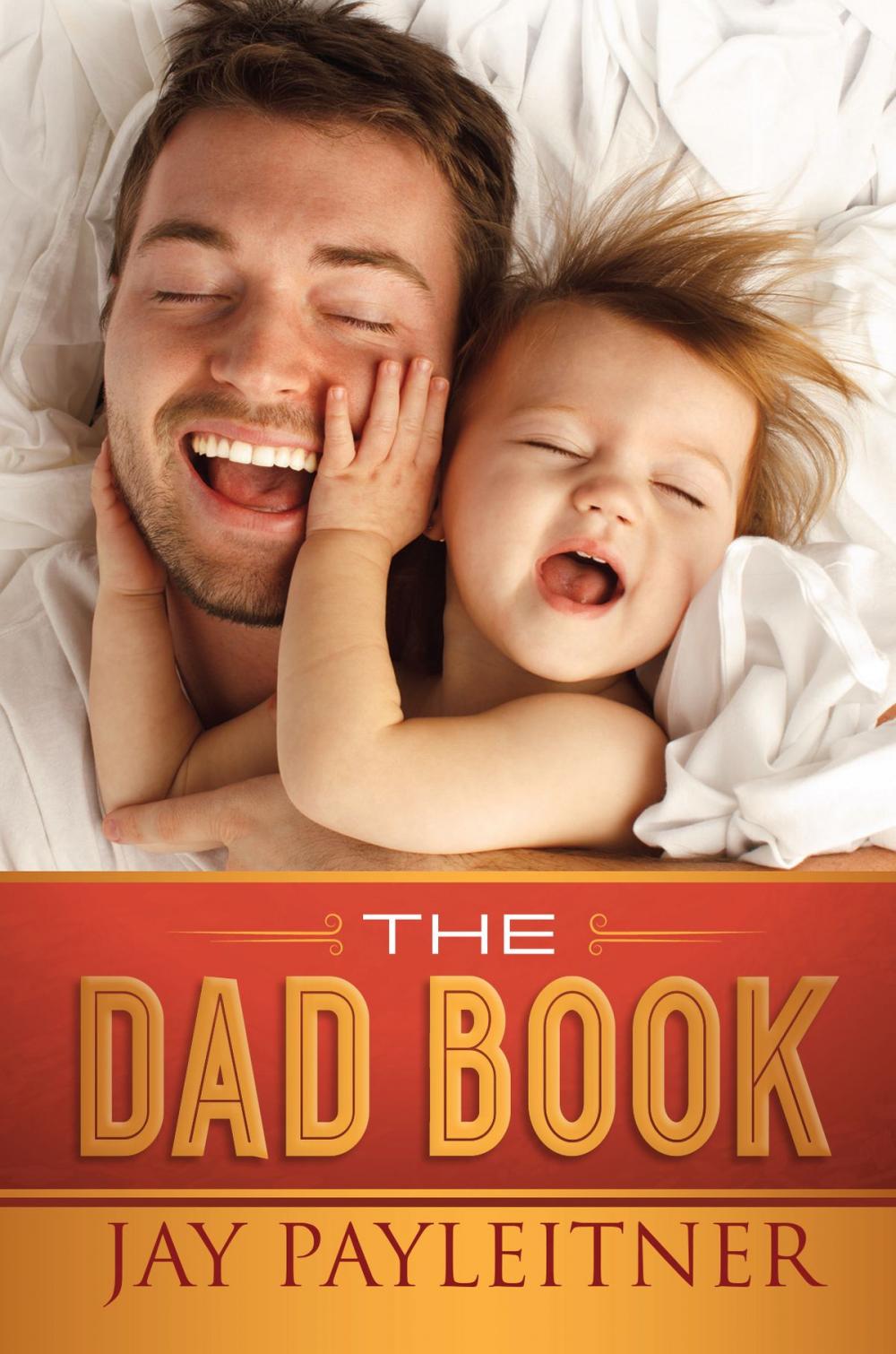 Big bigCover of The Dad Book