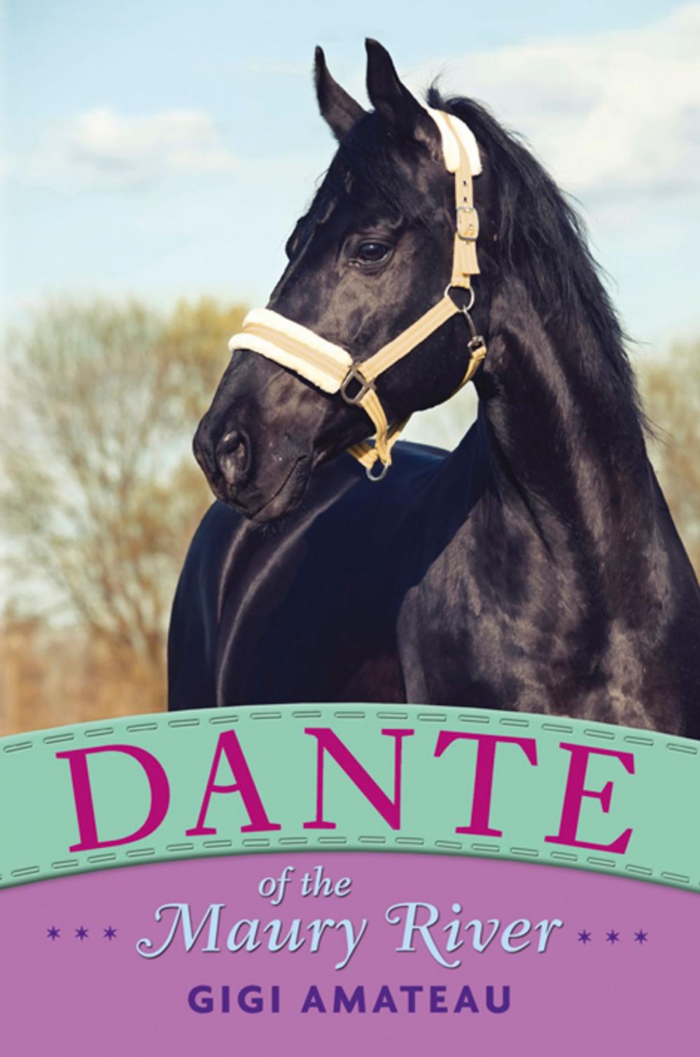 Big bigCover of Dante: Horses of the Maury River Stables